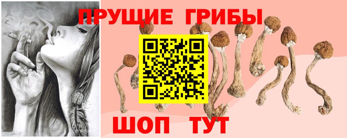 Псилоцибиновые грибы Cubensis Тулун