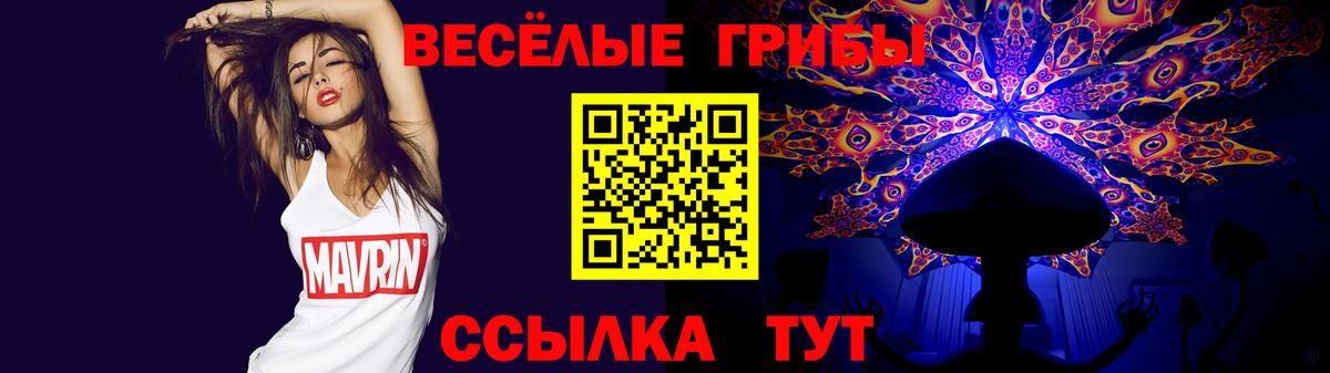Галлюциногенные грибы GOLDEN TEACHER  Вход с VPN  Галлюциногенные грибы Magic Shrooms  Тулун 